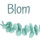 Logo Blom Ecoprint