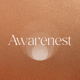 Logo Awarenest