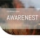 Logo Awarenest