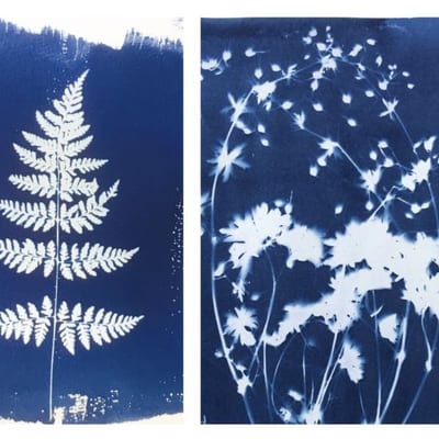 Workshop: Poëtische Blauwdruk van de Stadsnatuur