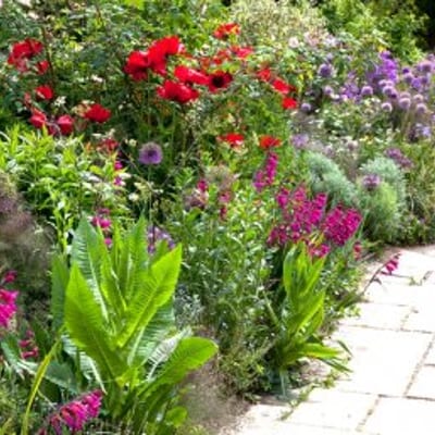 Workshop ‘Seizoenenborder – Maak zelf een beplantingsplan’