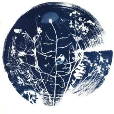 WORKSHOP - CYANOTYPE (BLAUWDRUKKEN)