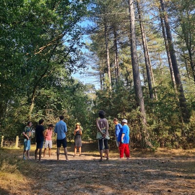 Verwonderwandeling Herfst