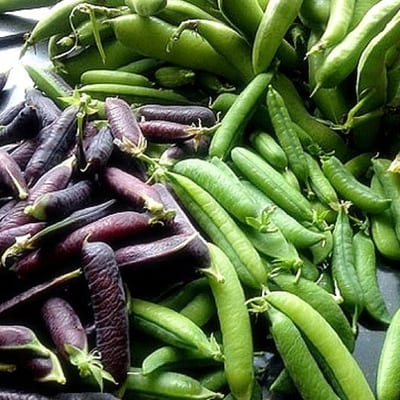 Stap voor stap Moestuinieren - op woensdagavond