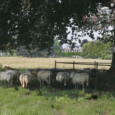 Natuurwandeling Houdringe