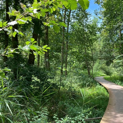 Natuurwandeling Landgoed Oostbroek