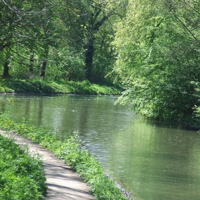 Rondleiding - Langs de oude Rijnloop