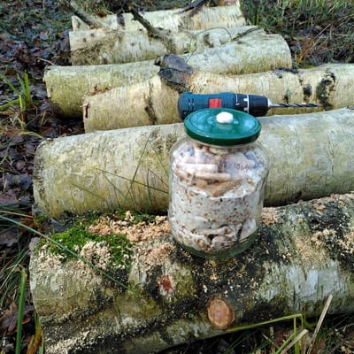 Workshop: Hout wordt voedsel - paddenstoelen enten