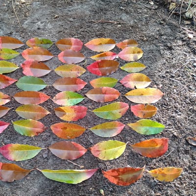 Land Art Speelexpeditie