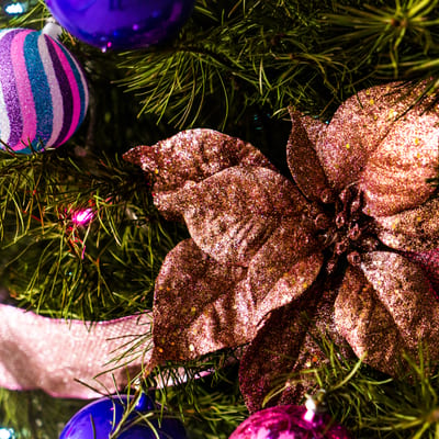 Kerststukjes maken Vrienden Botanische Tuinen (VOL)