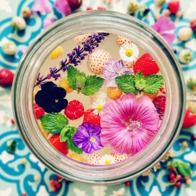 FRISSE BUBBELS | FRISDRANK FERMENTATIEWORKSHOP