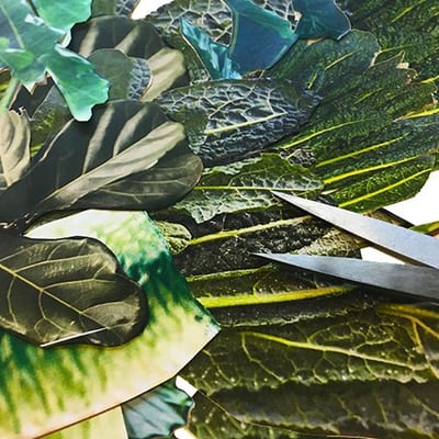 Collage maken workshop