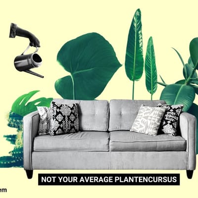 Workshop – Not Your Average Plantencursus