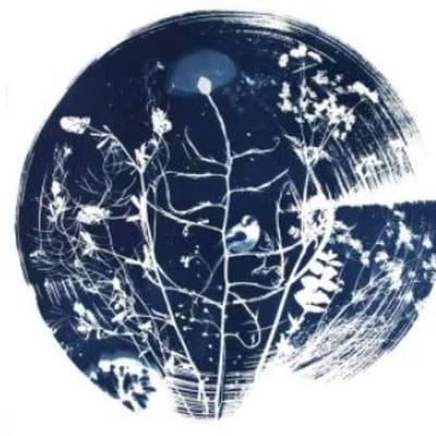 Workshop Cyanotype (blauwdrukken)