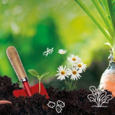Stap voor stap Moestuinieren - op woensdagavond
