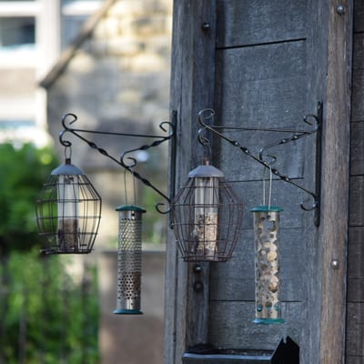 Nationale Tuinvogeltelling weekend: Vogelvoer maken