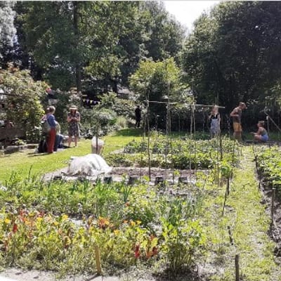 Tuinieren en verse groenten en bloemen van Stadstuin Klopvaart