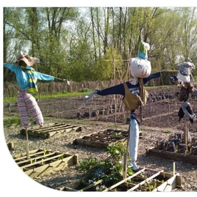 Moestuincursus XL op Stadstuin Plutodreef