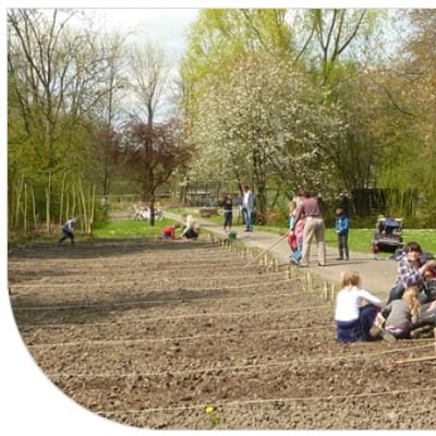 Moestuincursus XL op Stadstuin Zuilen