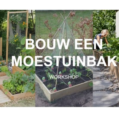 Workshop: Bouw een moestuinbak
