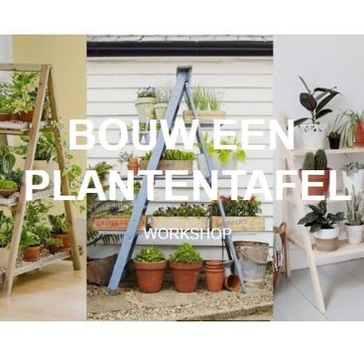 Workshop: Bouw een Plantentafel