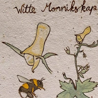Botanisch tekenen op groeipapier