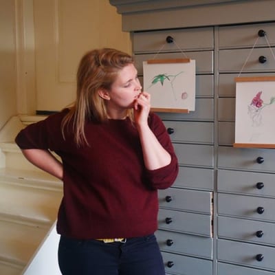 Botanisch illustreren