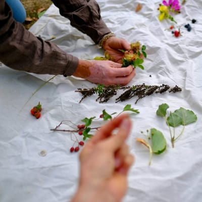 Wildpluk expeditie door de eetbare woonwijk Rijnvliet