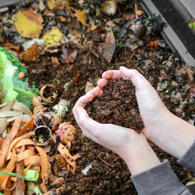Leren hoe je compost maakt: Hoe houden we de aarde gezond?