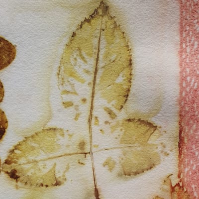 Ecoprinten met Bloem, Blad & Kant