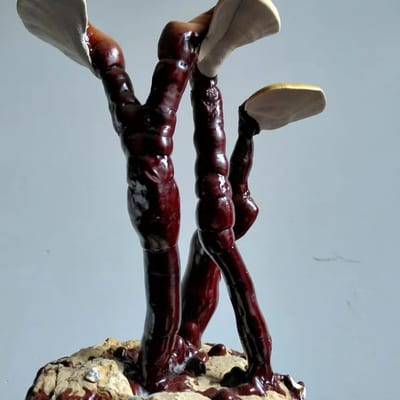 Workshop: Medicinale Paddenstoelen Proeverij