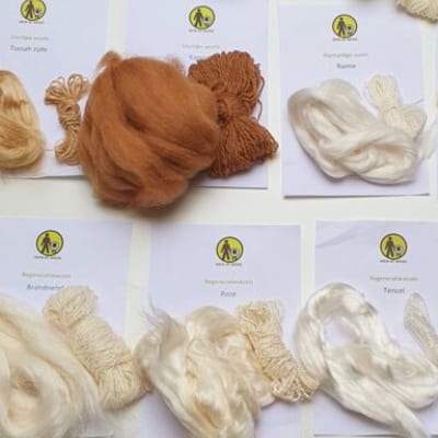 Workshop: Vezelrijkdom spinnen en vezels mengen