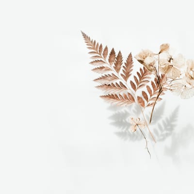 Cursus: botanische illustraties maken op groeipapier - maak je eigen natuurlijke kunst