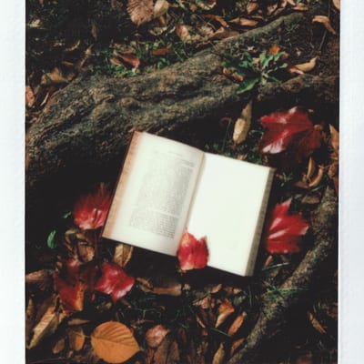 Literaire leeskring: Rob van Essen