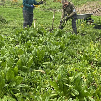 Meewerkdag in moesten de Haar