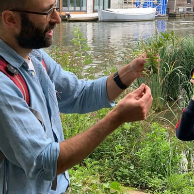 Wildplukken en avondeten: Proef je stad