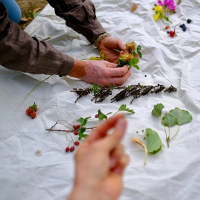 Kruidengeneeskunde workshop + zalf/tinctuur maken
