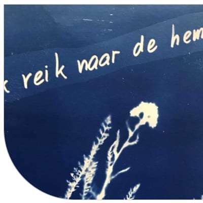 Workshop: Poëtische blauwdruk van de natuur