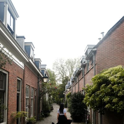 Cursus: Ontwikkeling van wijken buiten de singel II