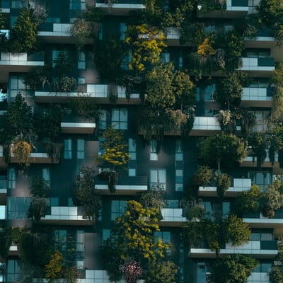 Cursus: Hedendaagse architectuur