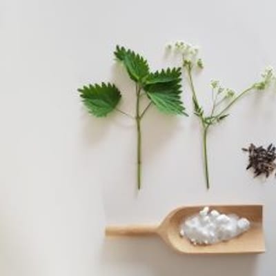 Workshop plantaardig verven