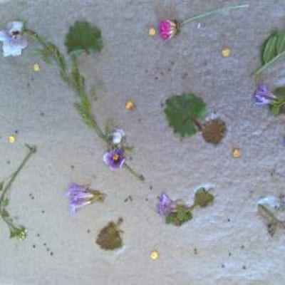 Workshop papier maken