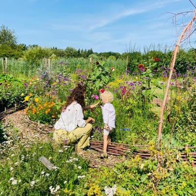 Workshop van het pluktuinteam 'Stel je eigen plukboeket samen'