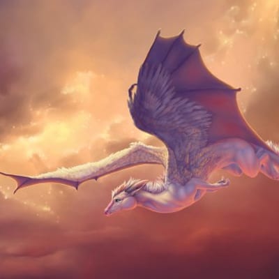 XL Waking the Dragon