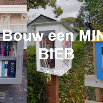 Workshop: Bouw je eigen Minibieb