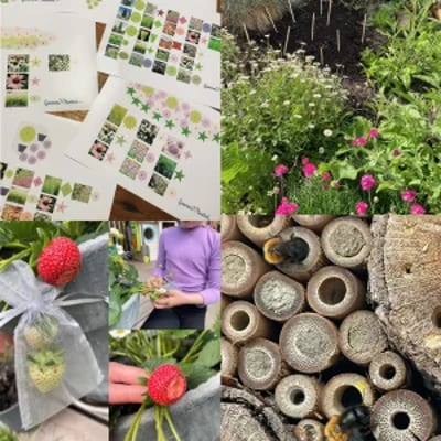 Workshop - Je balkon in bloei zetten