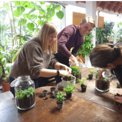 Workshop: Ecosysteem in een weckpot maken