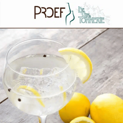 Workshop: Gin&Tonic Tasting
