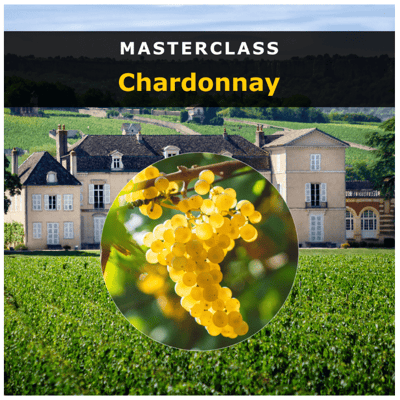Masterclass Chardonnay