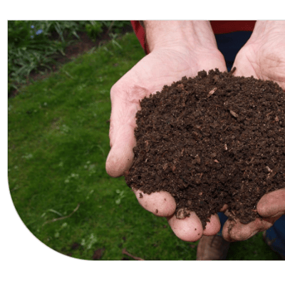 Workshop: Maak in je tuin compost